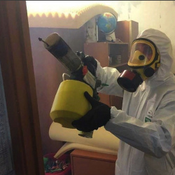 Уничтожение клопов в квартире. Томск